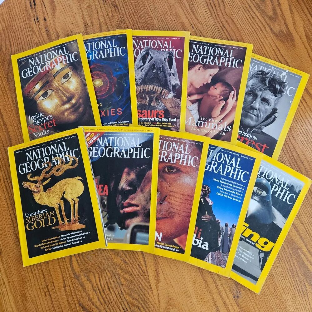 National Geographic Magazine Vtg 2003 Lot of 10 Issues Contents in Description